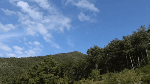  경북 문경 여행 STX리조트 디럭스룸 1박2일~조식뷔페 왔다임