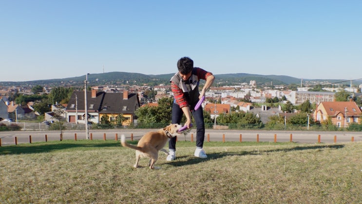 <TV동물농장> 2019 독풀러 대회, 창녕 품종묘 10마리 유기 사건 <TV동물농장> 2019 독풀러 대회, 창녕 품종묘 10마리 유기 사건
