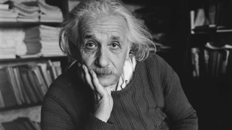 아인슈타인이 말하는 교육의 목적, 교육자 최고의 기술은 무엇일까.