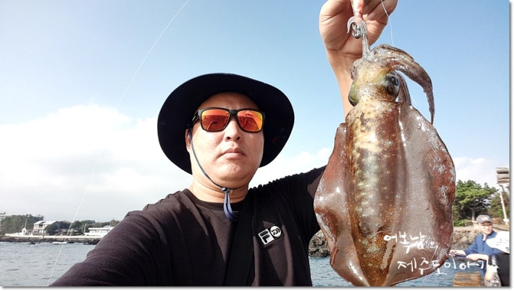  낮에깅에 왠 일? 무늬오징어 두마리 후딱~