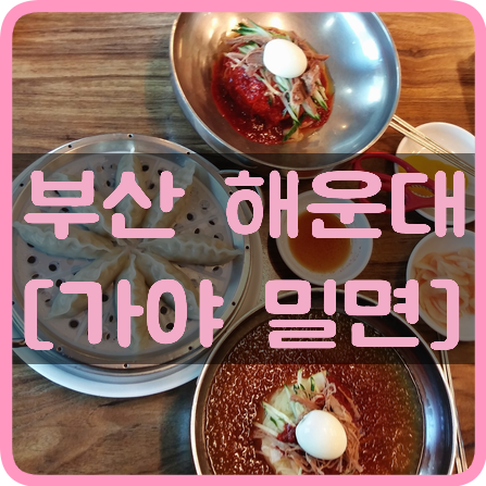  [부산해운대] 해운대밀면맛집! 연예인도 찾아오는 대박 친절하고 맛있는 해운대가야밀면!!