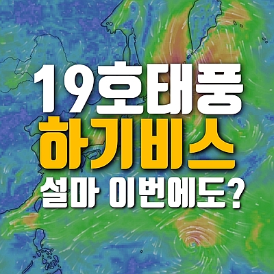  19호 태풍 하기비스 이번에도 우리나라 지나가나? 20호 너구리까지 설마?