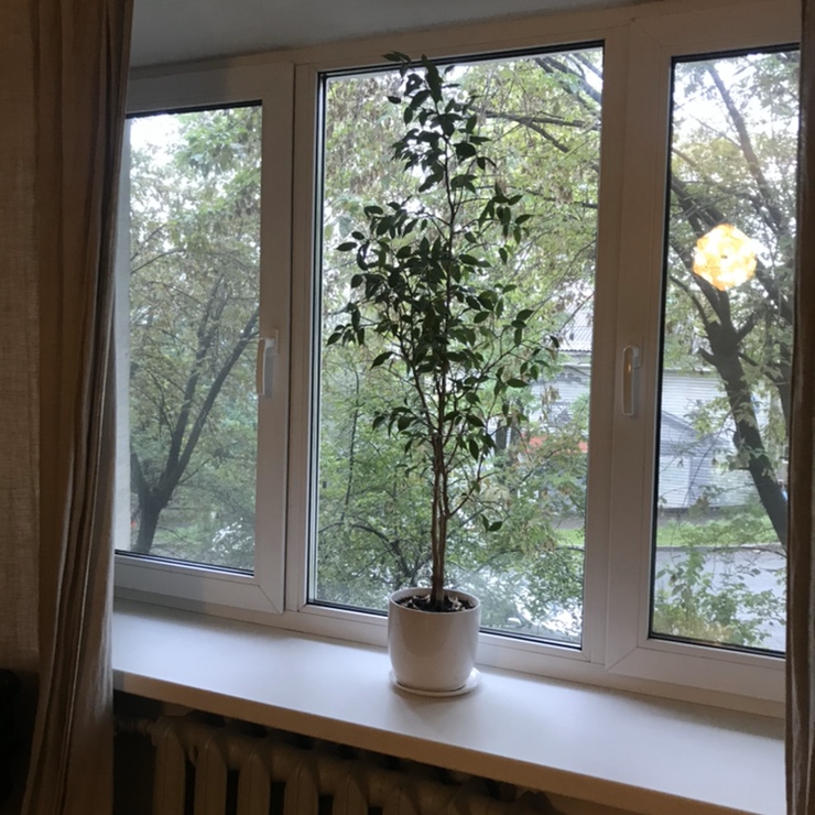  [2박4일 블라디보스톡 여행] 에어비앤비 Airbnb 후기