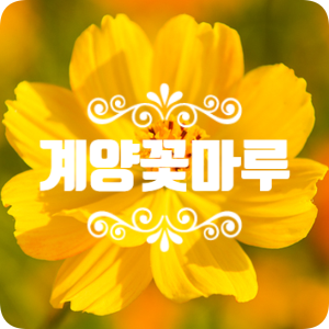 계양꽃마루 : 코스모스 구경 가자~