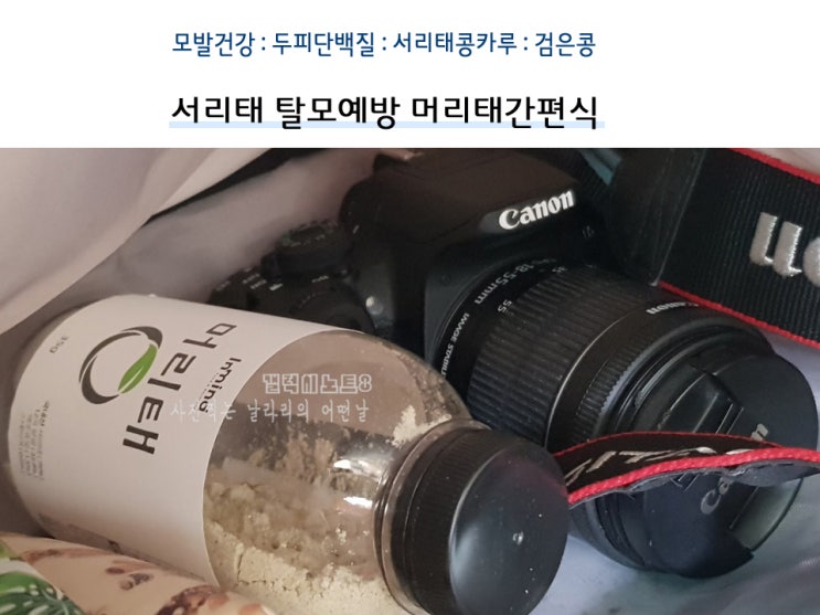  서리태 탈모예방 머리태 먹고 간편하게 케어