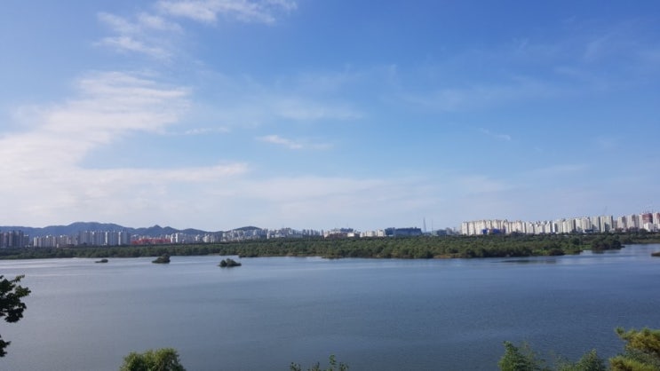  전망좋은 스타벅스 팔당점, 리버사이드팔당DT점 장단점