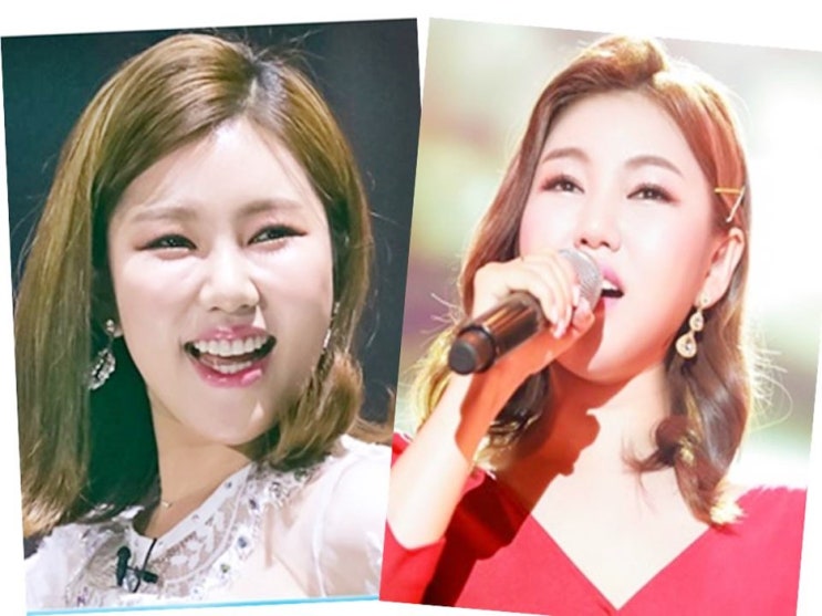  미스트롯 우승 송가인 아이돌급 초절정인기 누리다