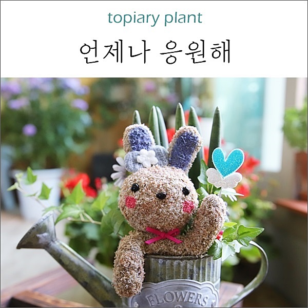  소중한 친구에게 토피어리 화분 선물했어요 (f. 언제나 응원해)