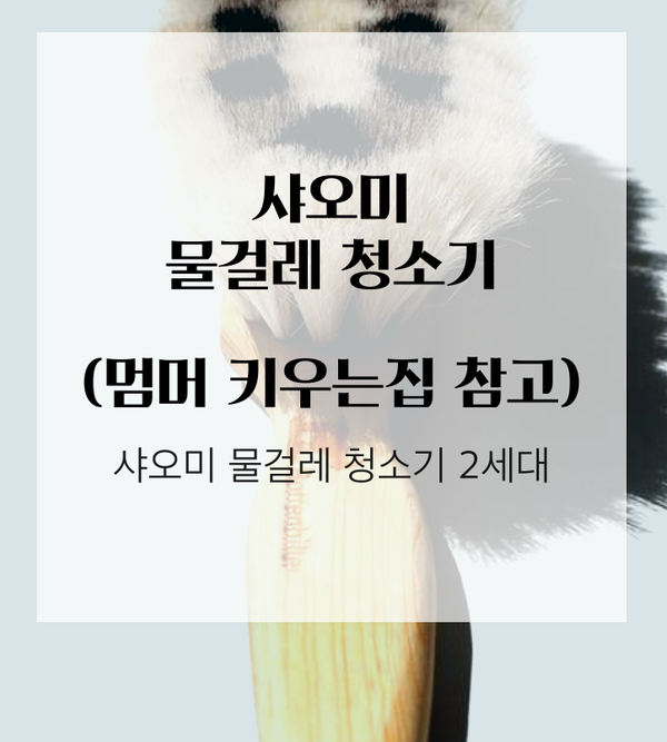  샤오미물걸레청소기2세대 사용 후기
