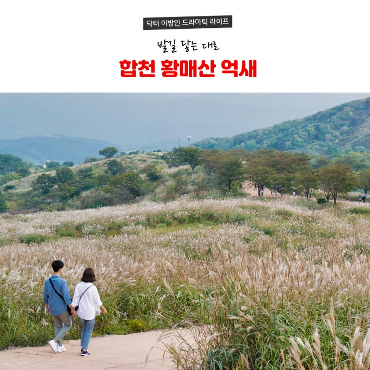  호젓하게 즐기는 합천 황매산 억새 군락