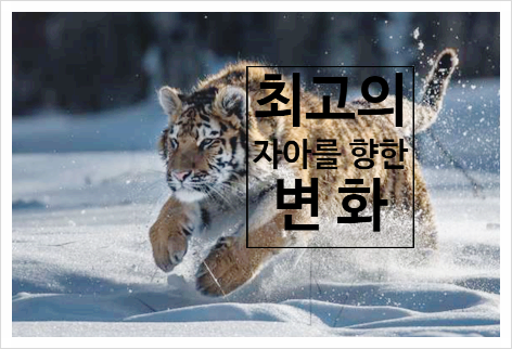  [BEST SELF] - 필사&연습 : 최고의 자아를 향한 변화