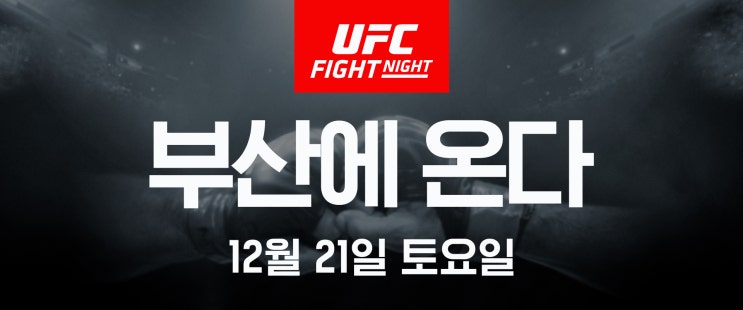  ufc 부산 추가 예상대진!