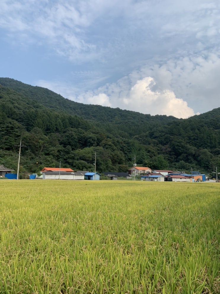  주말 1,