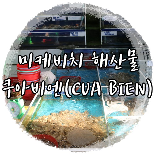  다낭호이안 4박6일 여행기 미케비치 해산물 쿠아비엔(CUA BIEN) +이제와서보니딥빡..ㄷㄷ