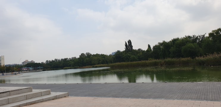 서울 상암 월드컵경기장 공원 평화의 공원에서
