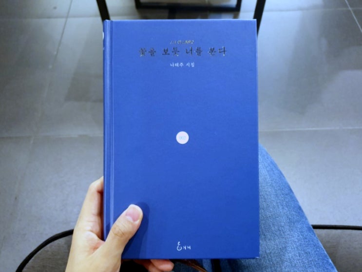  나태주 시집 <꽃을 보듯 너를 본다>
