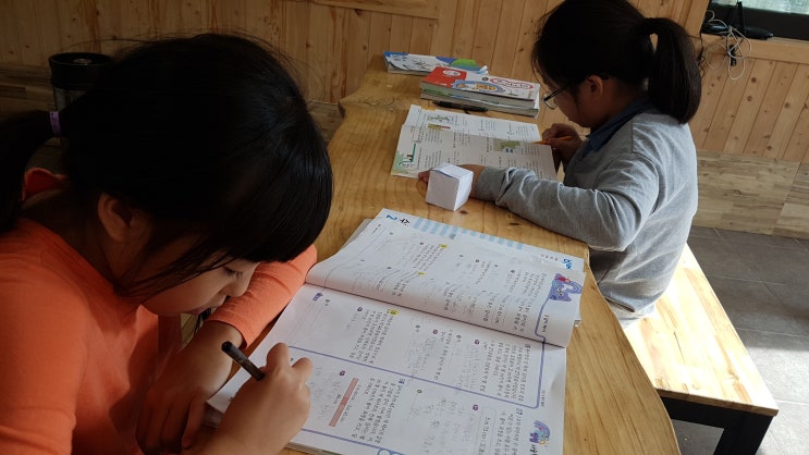  5학년 2학기 전과목 공부법은 우공비 문제집 진도에 맞춰풀기!