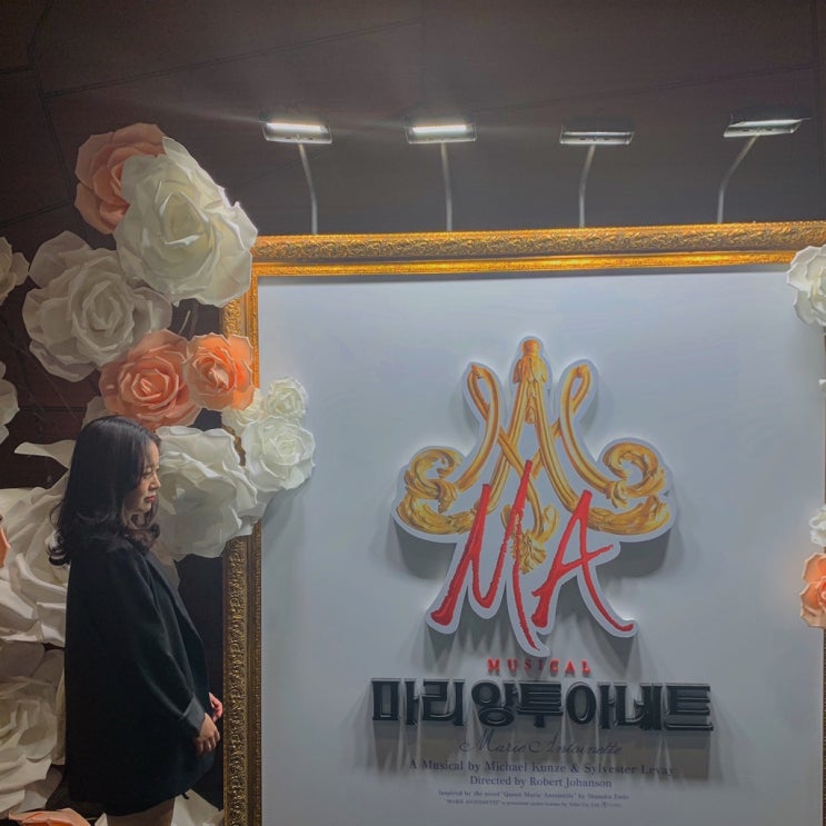  뮤지컬 마리앙투아네트 황민현 회차 2번째는 5열에서!c