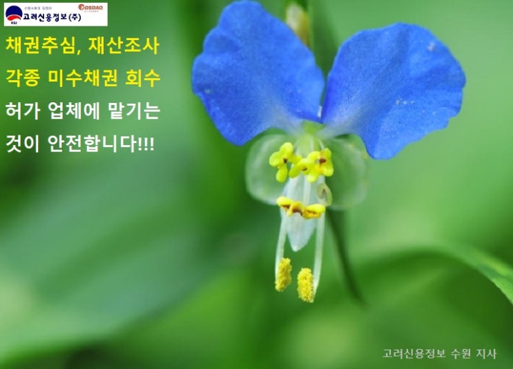  채권추심 관련 지식 - 법인격부인의 개요 및 적용 요건 (주식회사 주주의 유한책임)