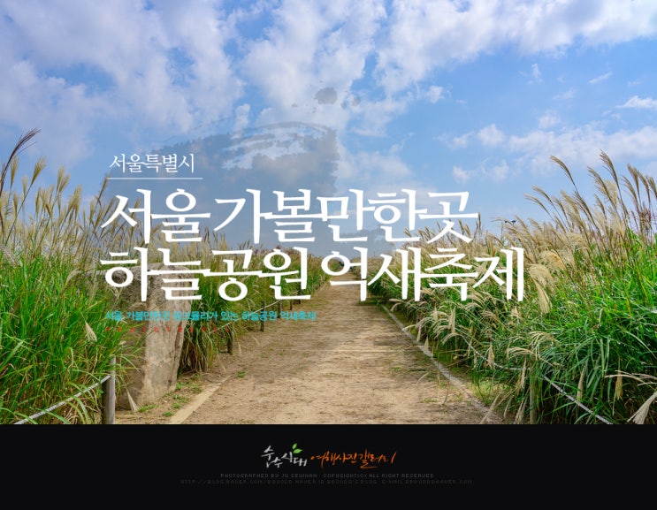 서울 가볼만한곳 핑크뮬리가 있는 하늘공원 억새축제