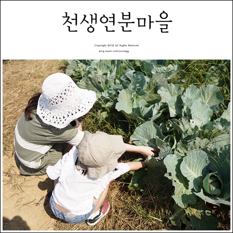 서울근교여행 경기도 양주 천생연분마을 유아인성학교 농촌체험