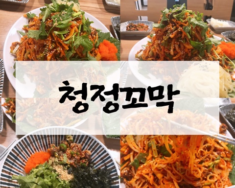  [공릉역맛집]벌교꼬막이 한가득, 청정꼬막