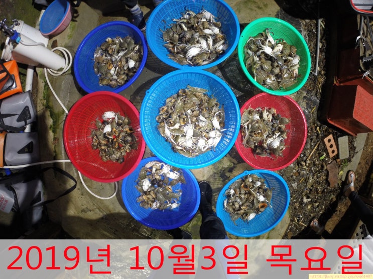  안면도 여행과 해루질체험 - 2019년 10월3일 목요일