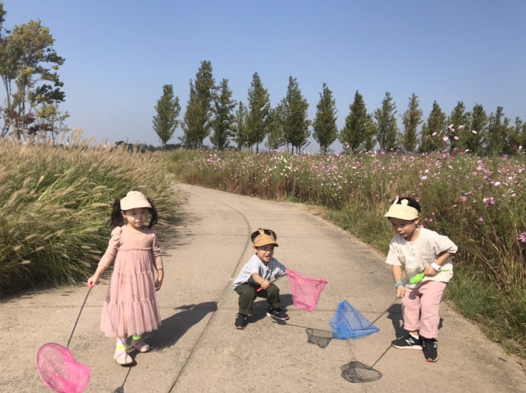 +1909029_[소민이네] 시흥 갯골생태공원 + 신세계 아울렛