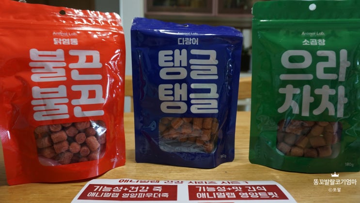  웰시코기 호두/ 호두의 새로운 노즈워크 간식 등장/애니멀랩 영양트릿3종