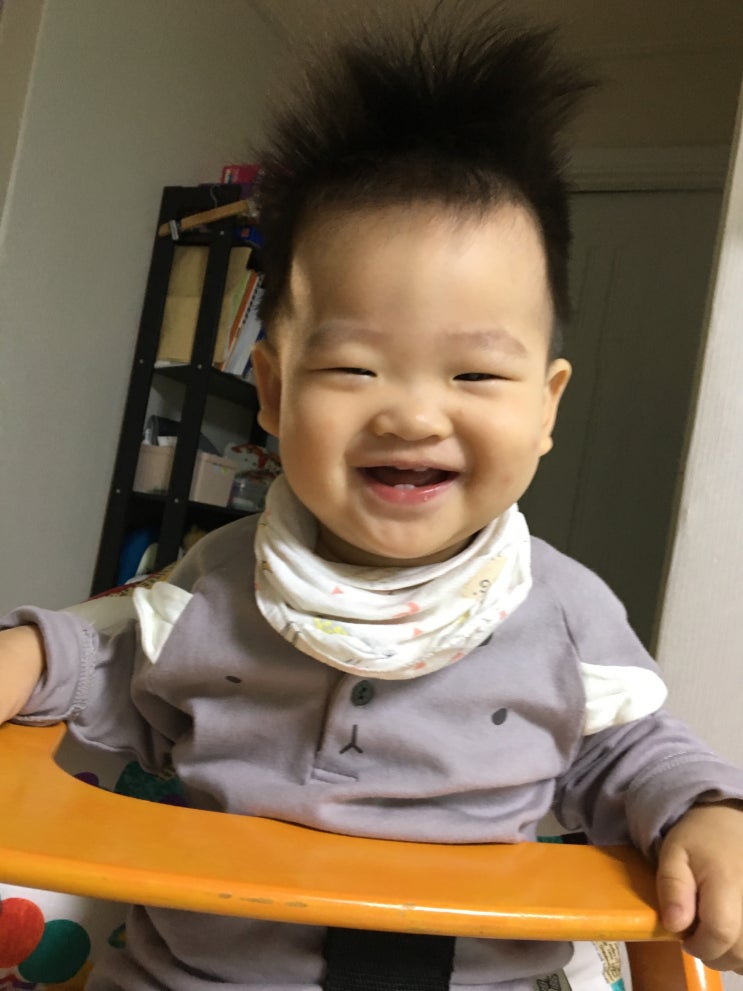  생후 375일