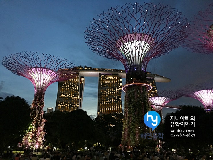 싱가포르 여행, 가든바이더베이 슈퍼트리쇼(야간 조명쇼)