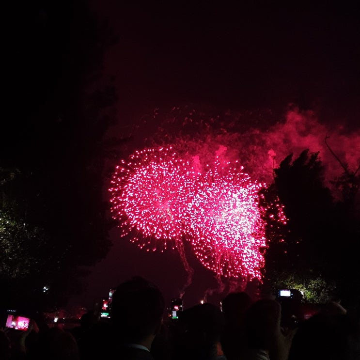  '여의도 불꽃 축제' 관람, 걷기 운동과 불꽃축제에 대한 단상