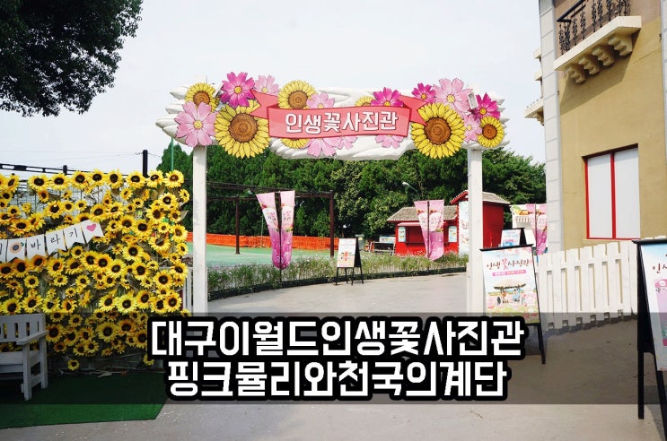  대구 이월드 인생꽃 사진관 핑크뮬리와 천국의 계단