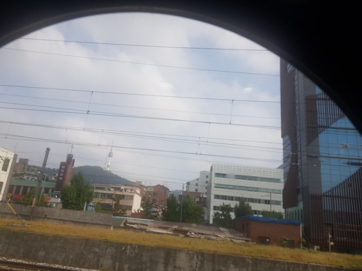 10.5 제 1회 드래곤볼 쎄쎄쎄 대회 후기