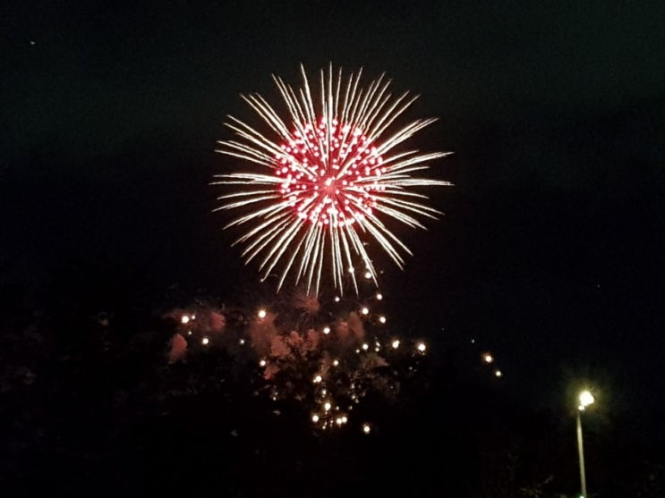 여의도 불꽃축제 명당은 역시 노들섬 :: 노들섬 불꽃축제에 다녀온 따끈한 후기