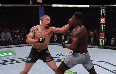 UFC 243 : 휘태커 vs 아데사냐 피니시(GIF) 영상 및 뒷얘기