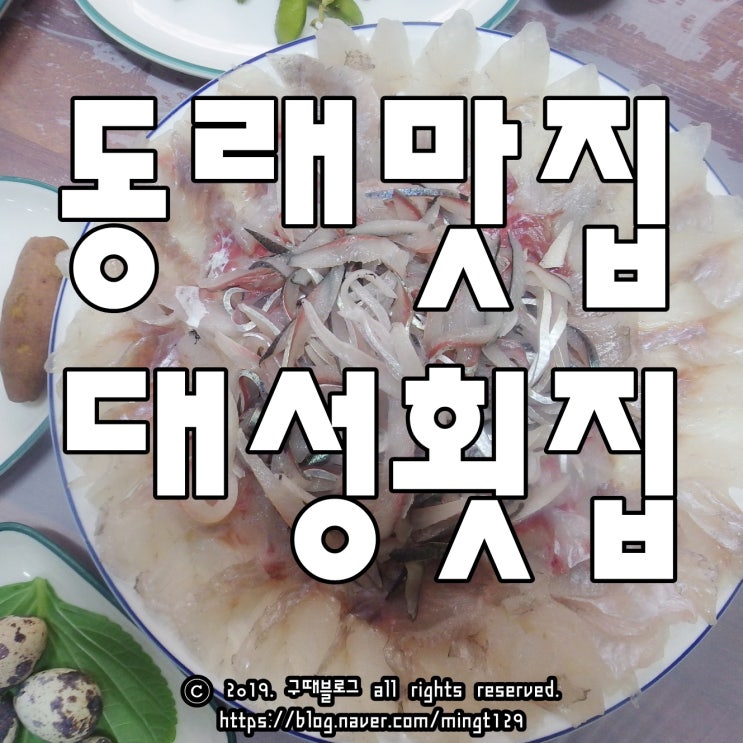  동래횟집 가을전어회와 전어구이 서비스까지 즐기는 대성횟집