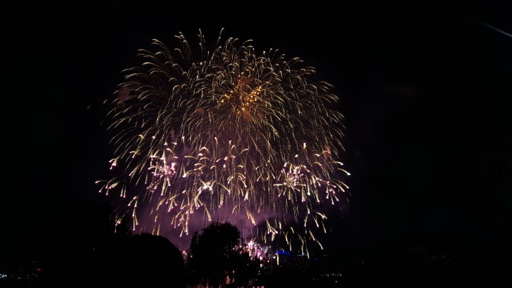  2019 여의도 불꽃축제 후기