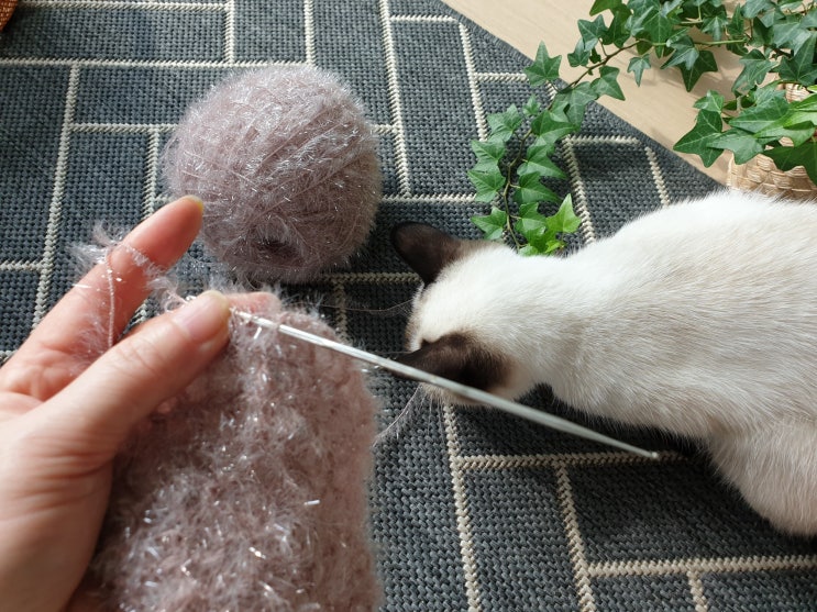  설거지 손뜨개 수세미, 맘에 드는 색실로 직접 손뜨개로 떠서 사용해요!