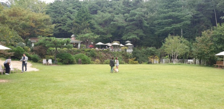  대구 팔공산 애견카페 시크릿가든 여기가 최고