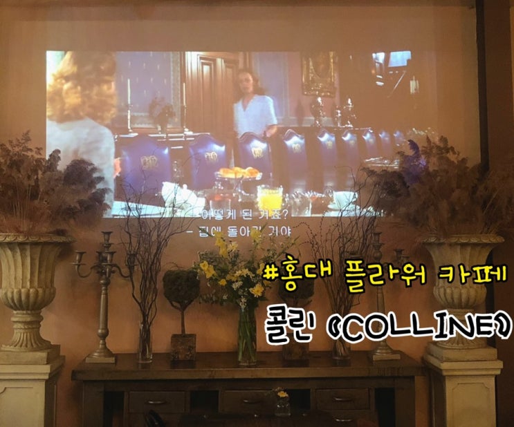  [홍대] 분위기 좋은 플라워카페 콜린(Colline)