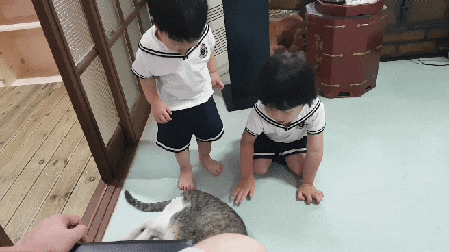  [+1247/+506] 양평 한화리조트 미니동물원/맛집/오락실