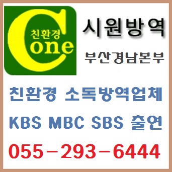  부산 울산 빈대퇴치를 깔끔하게