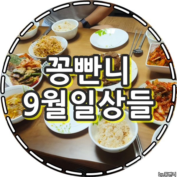  꽁빤니의 9월 일상들 공유할게요~