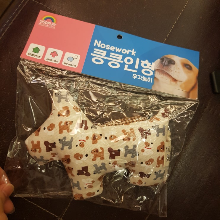  강아지노즈워크 효능 이유 방법