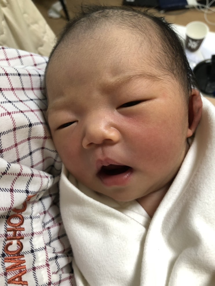 자유부인 끝, 일산 킨텍스 베이비페어