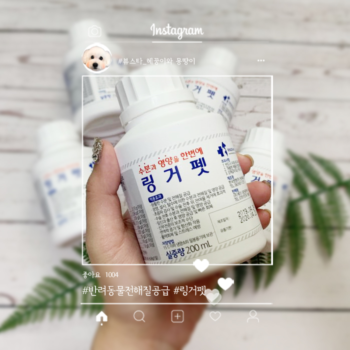  강아지신부전증에 좋은 링거펫