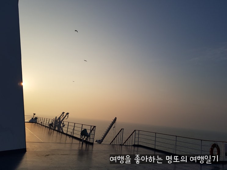 [산타루치노호]국내 최대 크루즈 타고 제주도에서 목포로~~!