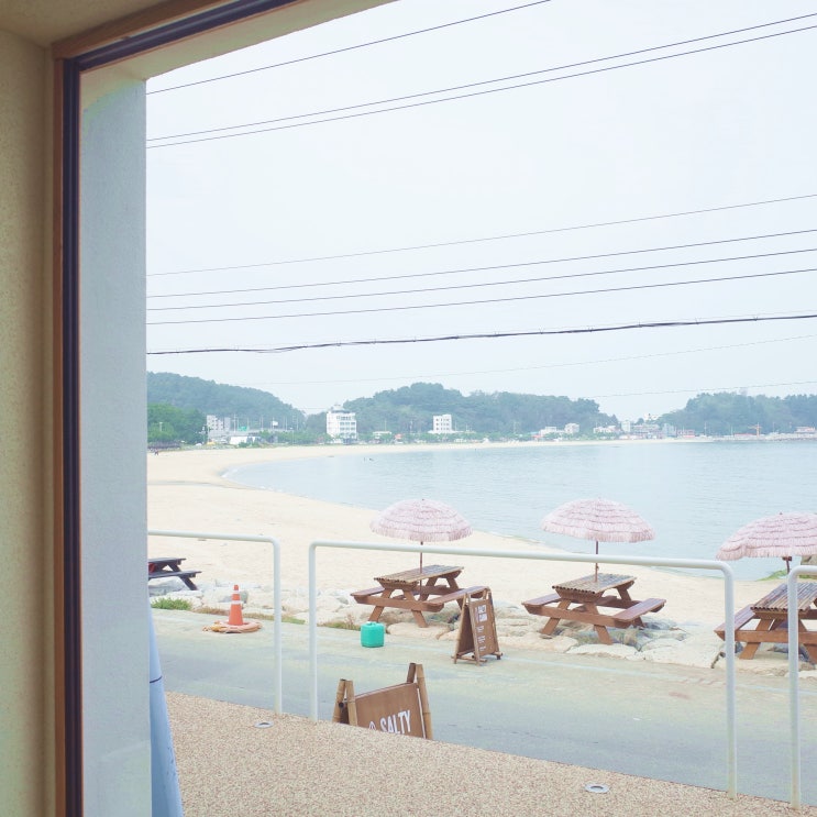  양양 카페 쏠티캐빈 핫해질꺼같아!