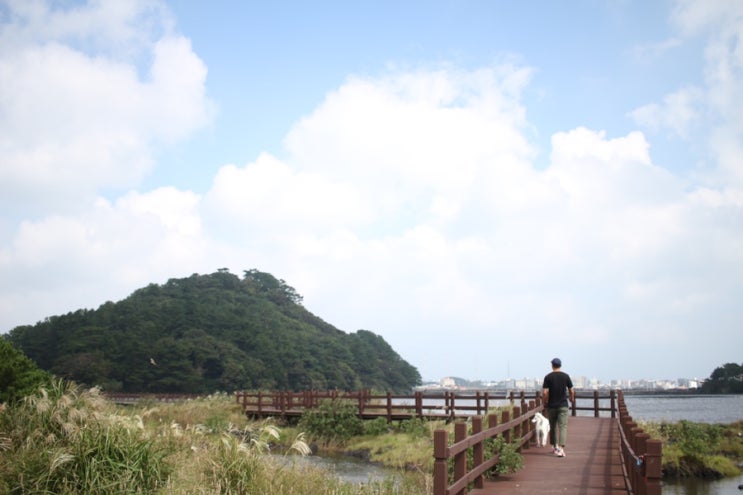  제주 강아지 산책로 추천 : 오조리 감상소 그리고 오조 포구